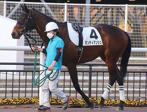 ボンディマンシュ