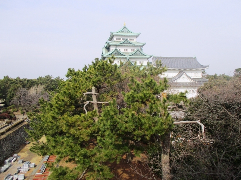 イメージ 12