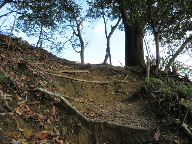 f:id:yakir1300:20200102093652j:plain