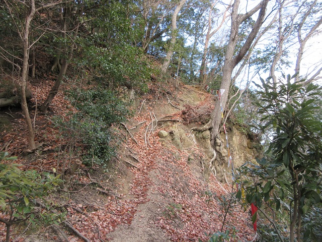 f:id:yakir1300:20200102093729j:plain