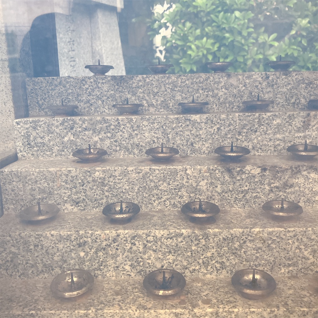 f:id:yakisobacurry:20260624181402j:image f:id:yakisobacurry:20260624181402j:image