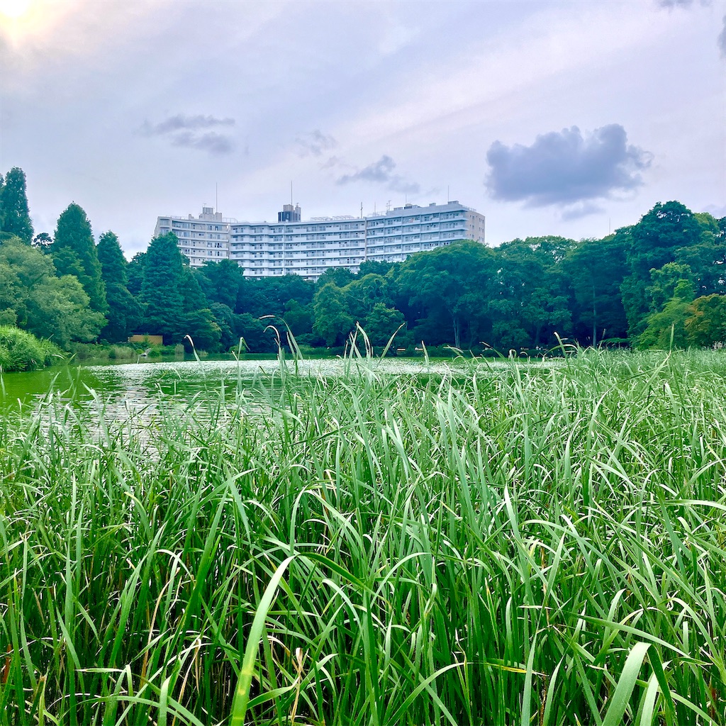 f:id:yakisobacurry:20260705013444j:image f:id:yakisobacurry:20260705013444j:image