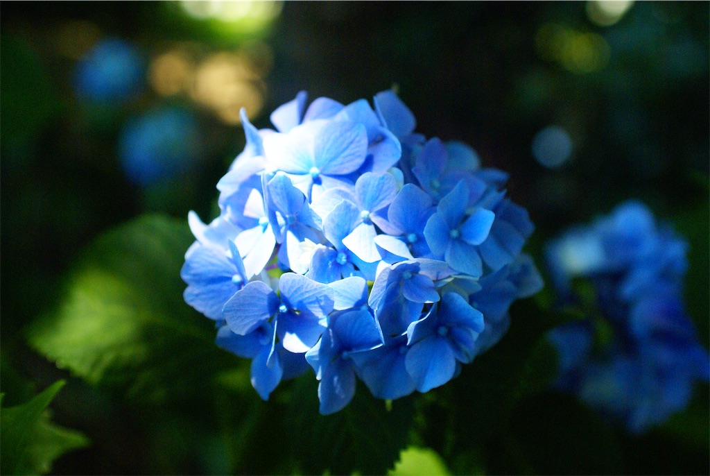 f:id:yakisobacurry:20260711004957j:image f:id:yakisobacurry:20260711004957j:image