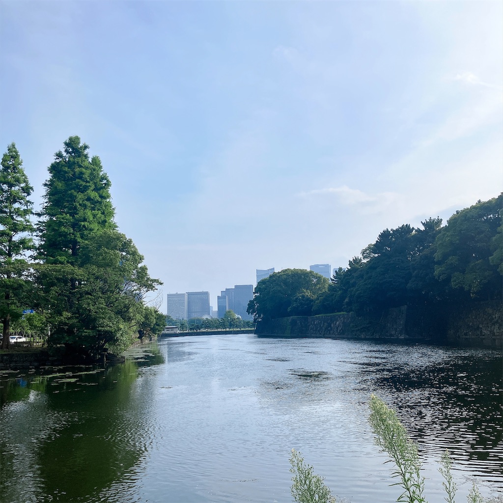 f:id:yakisobacurry:20260813005222j:image f:id:yakisobacurry:20260813005222j:image