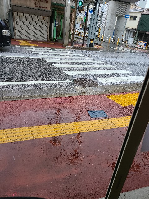 f:id:yakitori-junchan:20210320171437j:image