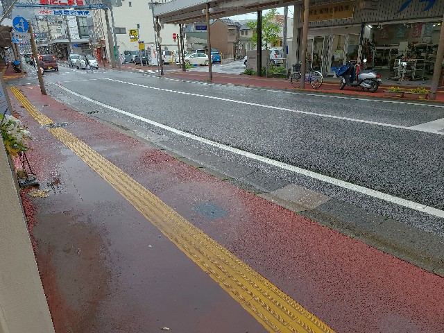 f:id:yakitori-junchan:20210521161429j:image f:id:yakitori-junchan:20210521161429j:image
