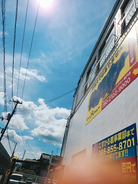 f:id:yakitori-junchan:20210721144255j:image