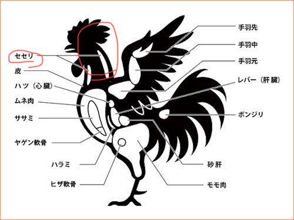 f:id:yakitori-junchan:20220304165125j:image