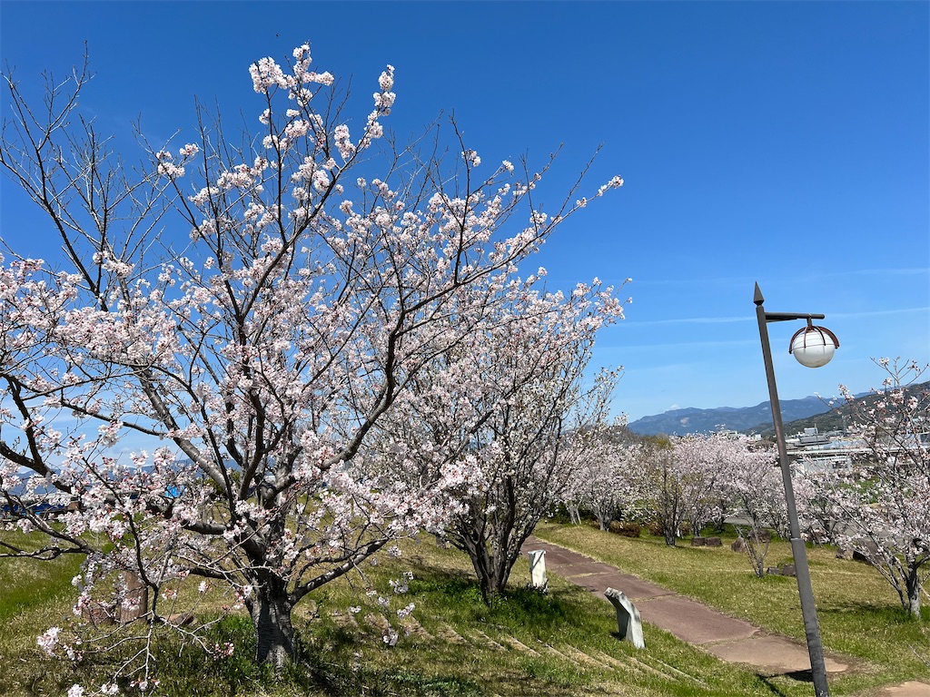 f:id:yakitori-junchan:20220407151933j:image f:id:yakitori-junchan:20220407151933j:image