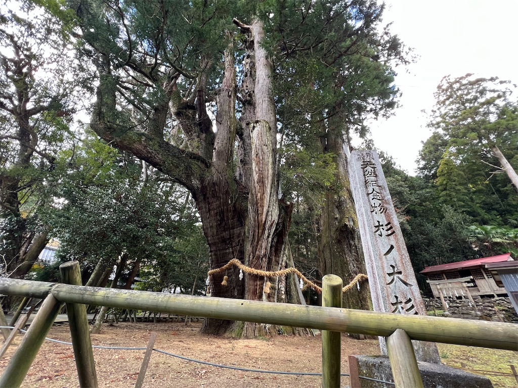 f:id:yakitori-junchan:20221207081500j:image