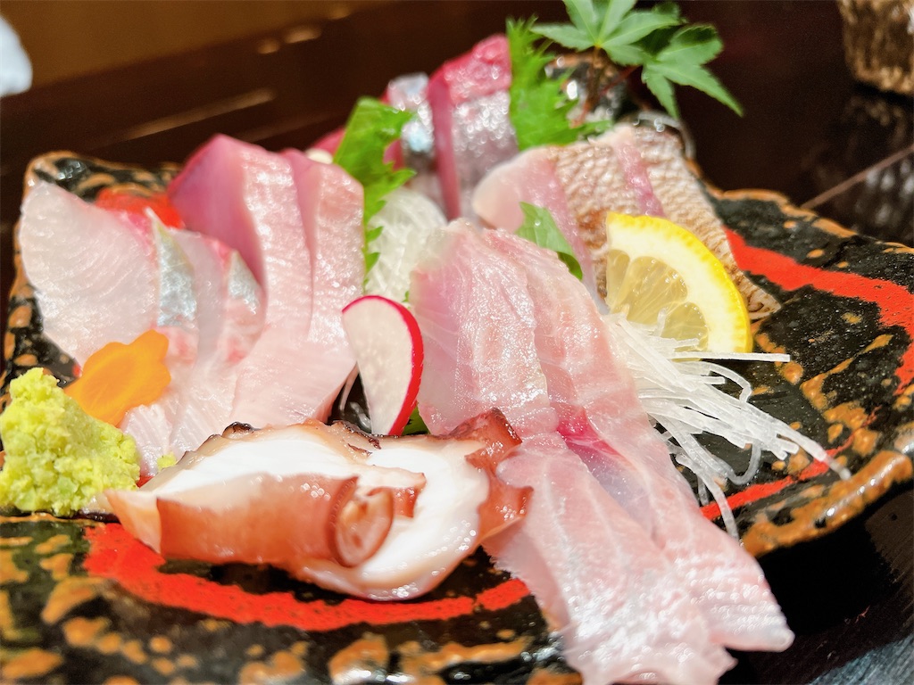 f:id:yakitori-junchan:20230609223605j:image