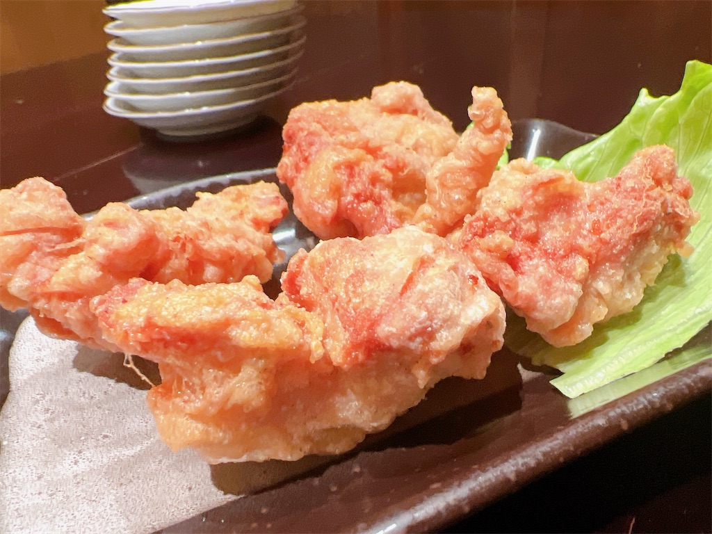 f:id:yakitori-junchan:20230609223936j:image