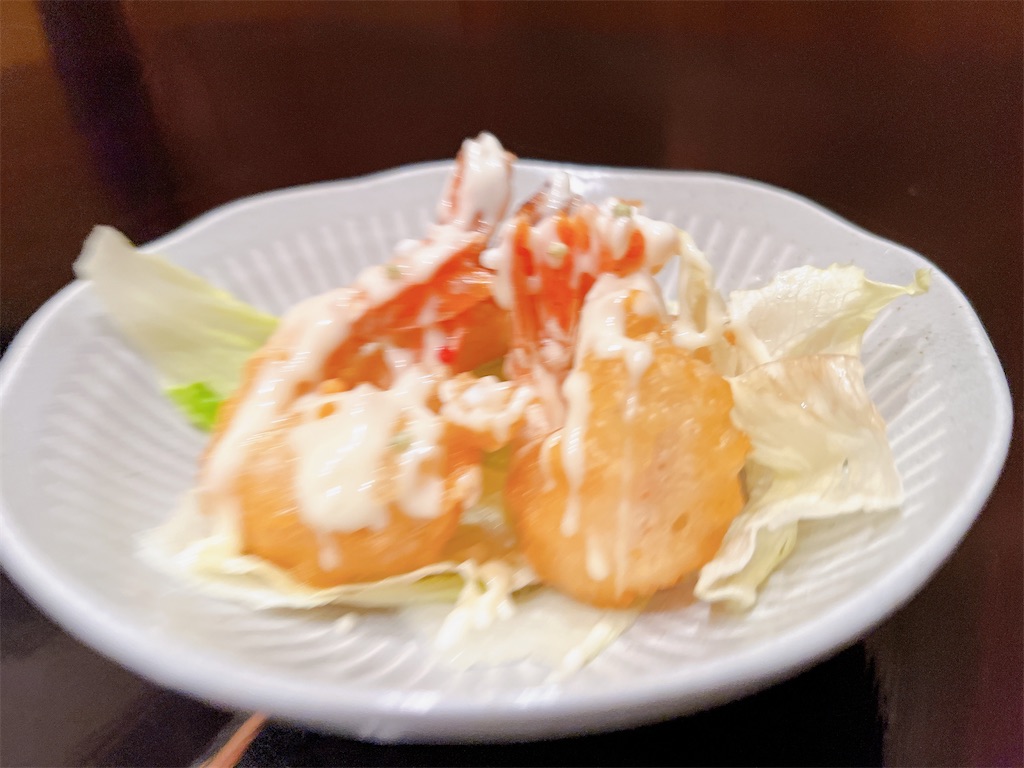 f:id:yakitori-junchan:20230609223940j:image