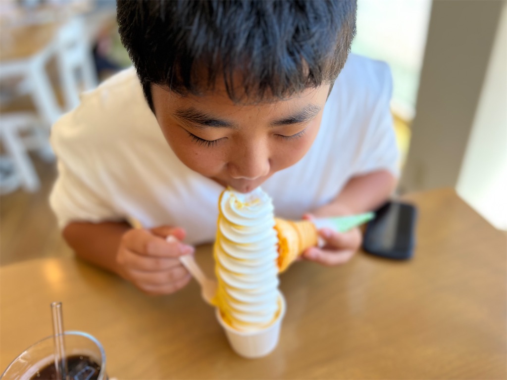 f:id:yakitori-junchan:20230718161819j:image f:id:yakitori-junchan:20230718161819j:image