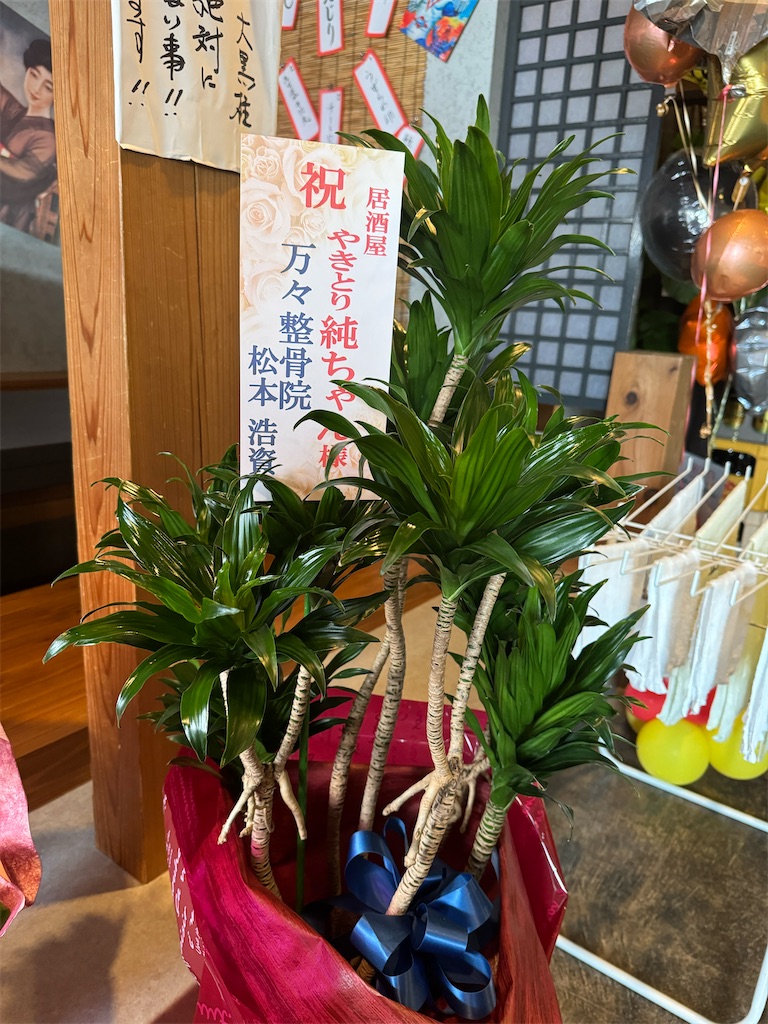 f:id:yakitori-junchan:20241018175214j:image f:id:yakitori-junchan:20241018175214j:image