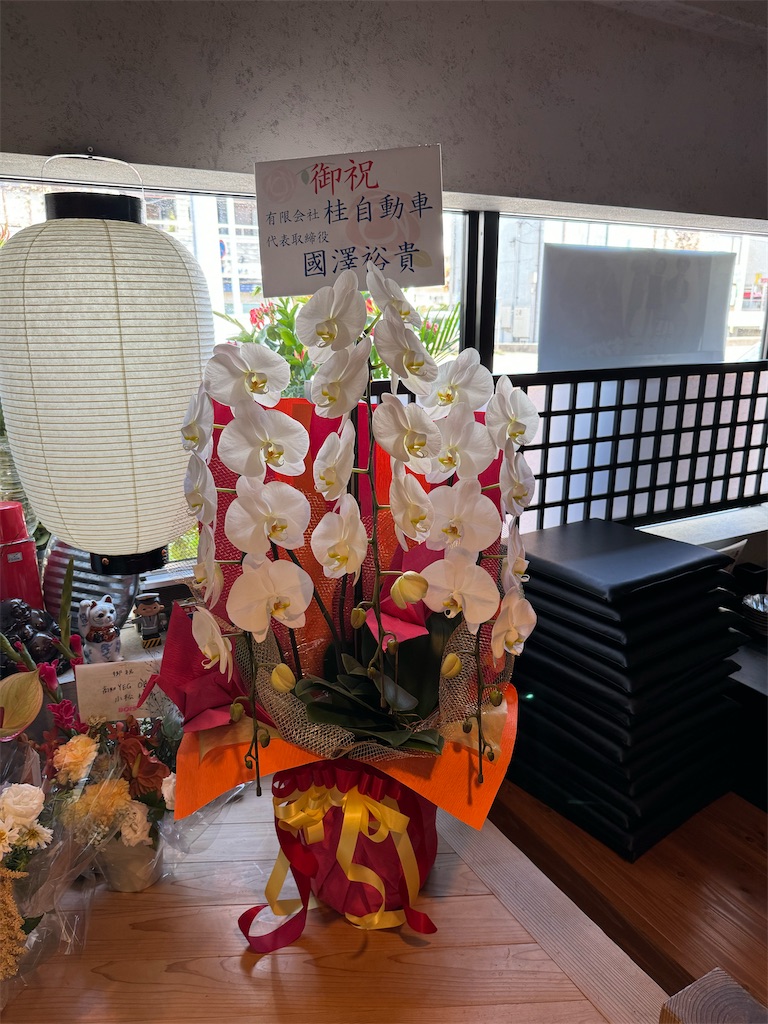 f:id:yakitori-junchan:20241018175258j:image f:id:yakitori-junchan:20241018175258j:image