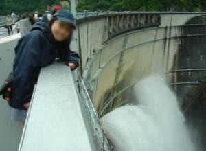 f:id:yako:20080825093353j:image:w300,h220,right