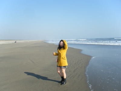f:id:yako:20081230184813j:image:w400,h300