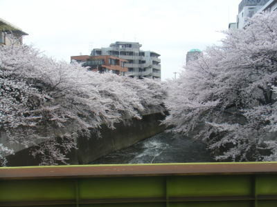 f:id:yako:20090406011055j:image:w400,h300