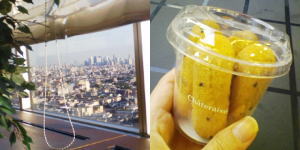f:id:yako:20091012001342j:image:w300,h150,right