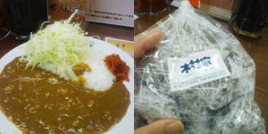 f:id:yako:20091109200958j:image:w300,h150,right