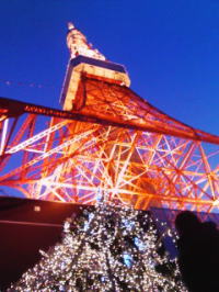 f:id:yako:20091225213525j:image:w200,h266
