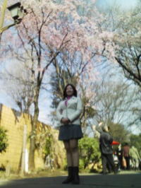 f:id:yako:20100328002246j:image:w200,h266,left f:id:yako:20100328002246j:image:w200,h266,left