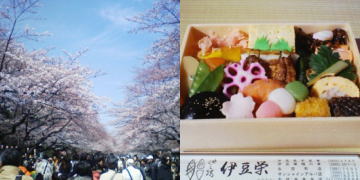 f:id:yako:20100328002249j:image:w360,h180,right f:id:yako:20100328002249j:image:w360,h180,right