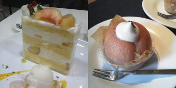 f:id:yako:20100901235445j:image:w360,h180,right