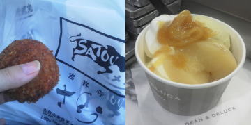f:id:yako:20101011231736j:image:w360,h180,left