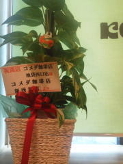 f:id:yako:20110612210103j:image:w180,h240,right