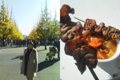 f:id:yako:20111204224030j:image:w400,h266,right