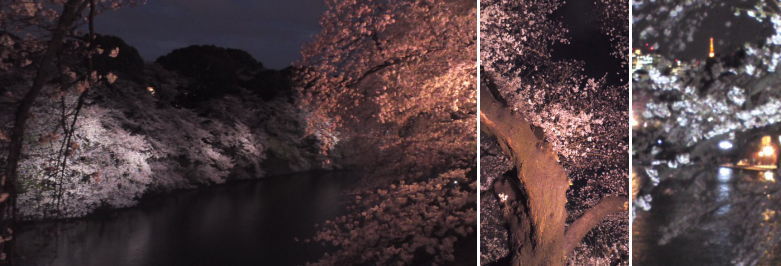 f:id:yako:20120409183933j:image:w780,h266