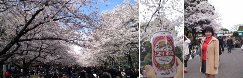 f:id:yako:20120409183934j:image:w800,h258