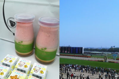 f:id:yako:20120508002432j:image:w400,h266,left