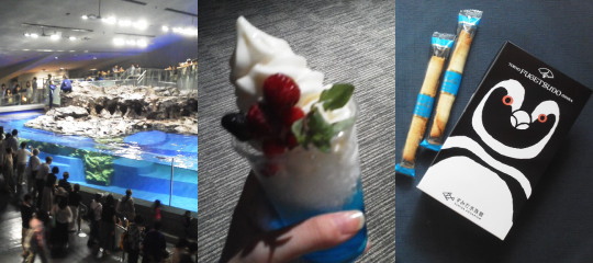 f:id:yako:20120919230148j:image:w540,h240,right