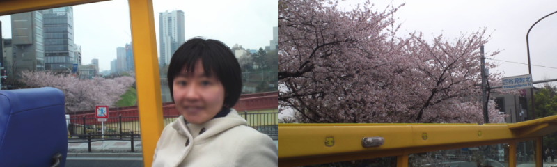f:id:yako:20130331213430j:image:w800,h240 f:id:yako:20130331213430j:image:w800,h240
