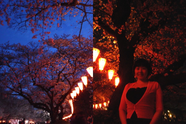 f:id:yako:20140331010254j:image:w400,h266,right f:id:yako:20140331010254j:image:w400,h266,right