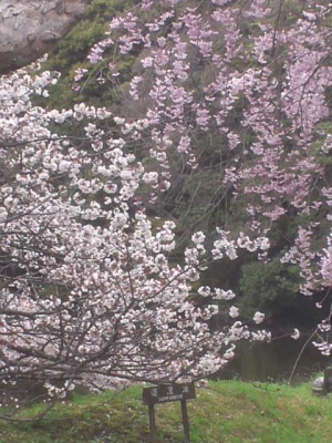 f:id:yako:20140407000449j:image:w200,h266,right
