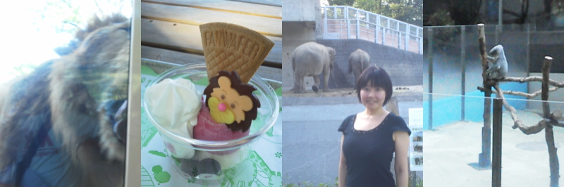 f:id:yako:20140511223610j:image:w800,h266