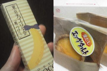 f:id:yako:20141008233846j:image:w360,h240,left