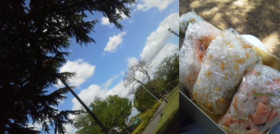 f:id:yako:20150508225849j:image:w555,h266,right