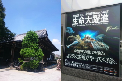 f:id:yako:20150722001924j:image:w400,h266,right