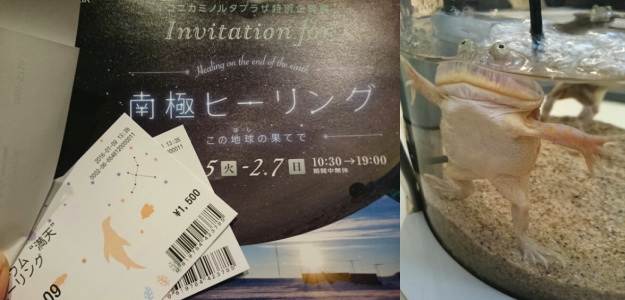 f:id:yako:20160110011354j:image:w625,h300,left