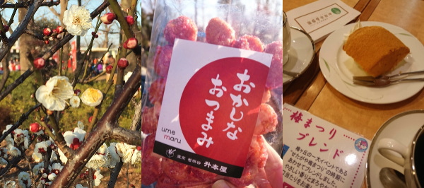 f:id:yako:20160213224110j:image:w600,h266,right f:id:yako:20160213224110j:image:w600,h266,right