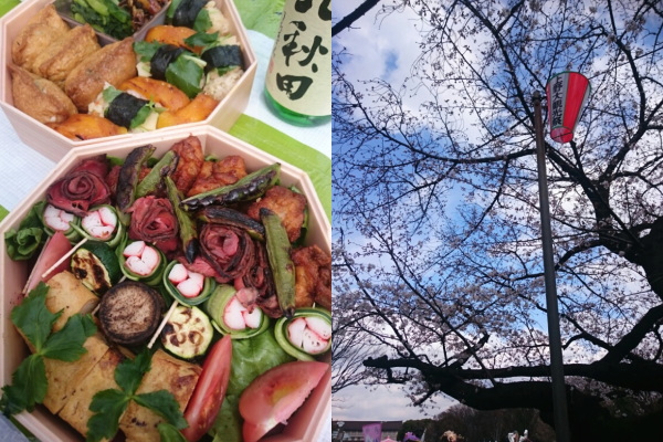 f:id:yako:20160328225601j:image:w600,h400,left