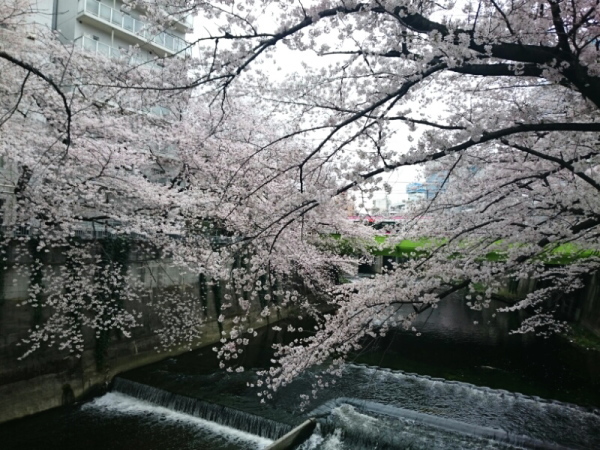 f:id:yako:20160402235305j:image:w400,h300,left