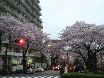 f:id:yako:20160410225049j:image:w400,h300,right