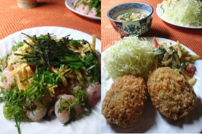 f:id:yako:20170305233538j:image:w400,h266,right