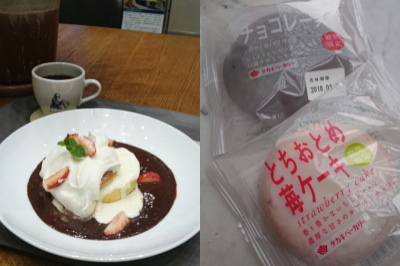 f:id:yako:20180222010214j:image:w400,h266,right